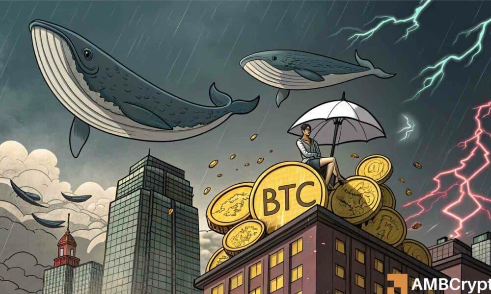 鲸鱼抛售 4.38 亿美元比特币——BTC 为何现在处于十字路口