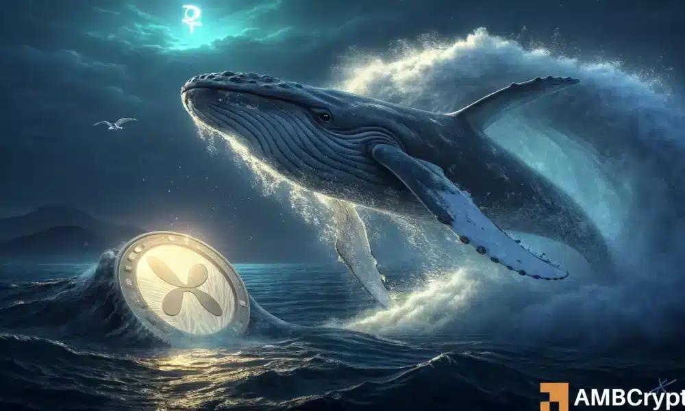 XRP 攀升至 3 美元 – 但 60 亿美元的鲸鱼抛售引发了危险信号！