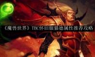 《魔兽世界》TBC怀旧服猫德属性推荐攻略