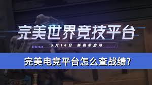 完美电竞平台如何查询战绩