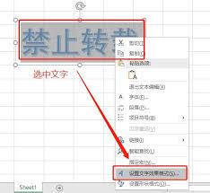 Excel如何加水印