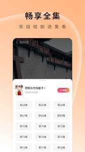 红果短剧小窗口如何设置权限开启