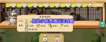 拾光小院如何养殖