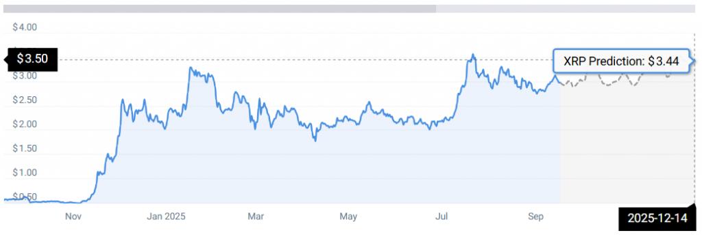 XRP STATS