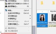 ACDSee怎么显示网格线