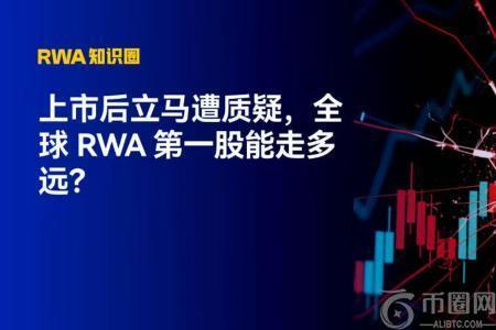 全球RWA第一股上市即遭质疑，DAT能否成为加密投资新趋势？