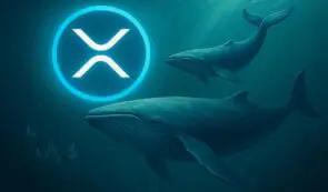 XRP 新闻：XRP 2.0 Remittix 融资超过 2620 万美元，推出 15% USDT 奖励，并被评为现在最值得购买的加密货币