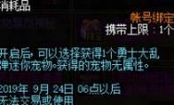 DNF 勇士大乱弹自选礼盒介绍