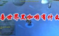 魔兽世界 黑咖啡有什么用