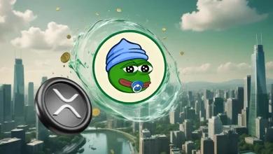 据瑞波币（XRP）百万富翁称，到 2025 年，这种货币将跻身前 50 名，并将 1,000 美元变成 50,000 美元