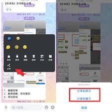 蝙蝠消息如何转发