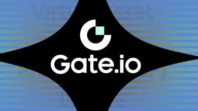Gate 推出高速、低成本的二层网络及全新升级