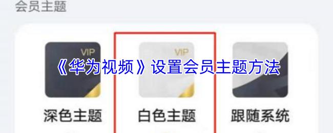 华为视频 设置会员主题方法