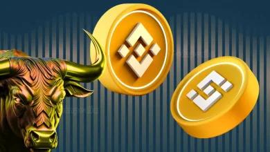 哈萨克斯坦 Alem 加密货币基金将币安币 (BNB) 添加到其储备中