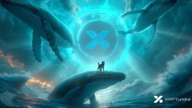 加密货币新闻快讯：XRP Tundra 预售配额已售出 85%，柴犬鲸鱼入场