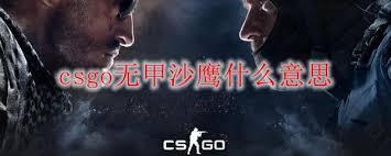 csgo全甲沙鹰是什么意思