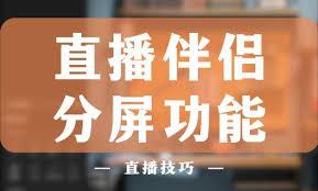 抖音直播伴侣如何实现双屏直播