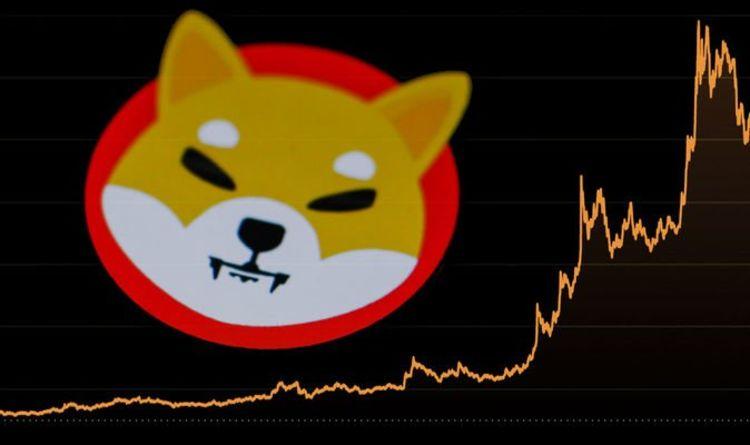 由于 0.0000100 美元支持率崩溃，柴犬 (Shiba Inu) 可能在 3 天内增加一个零