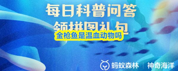 金枪鱼是温血动物吗