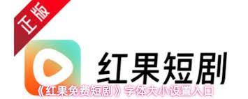 红果免费短剧字体大小如何设置