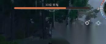 荒原曙光银鬓在哪里在哪-荒原曙光银鬓在哪里可以找到