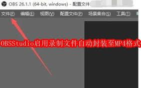 OBS Studio如何设置开启自动封装至MP4格式