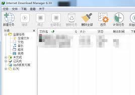 IDM下载器怎么设置中文