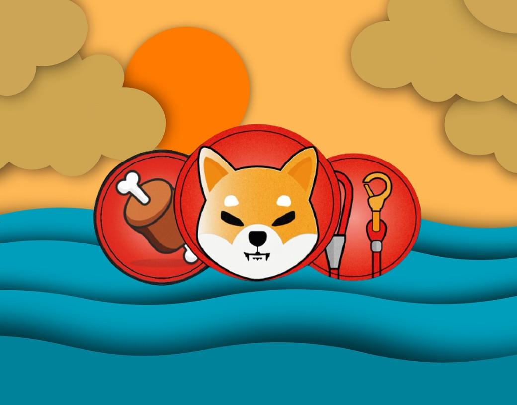 你应该购买“SHIB Trifecta”代币（柴犬、骨头和牵引绳）吗