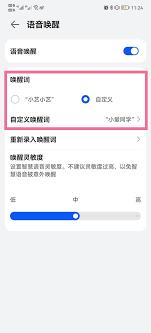 华为智慧语音如何录入声音