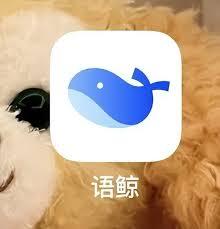 语鲸app怎么订阅频道