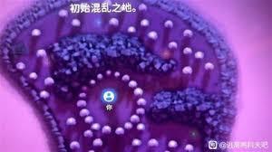 逃离鸭科夫风暴枪如何获取