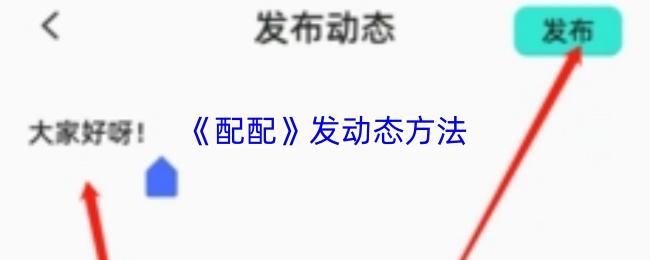 配配 发动态方法