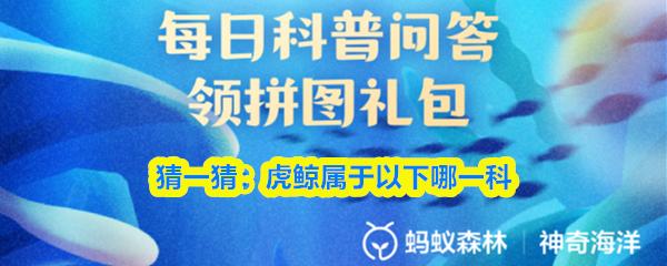 猜一猜虎鲸属于以下哪一科