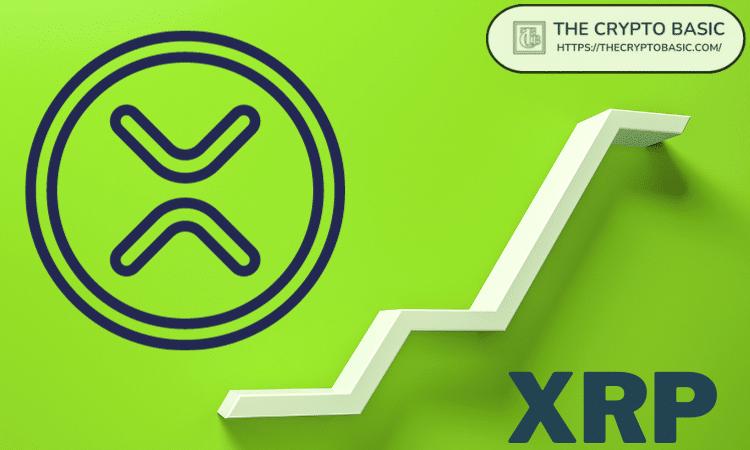 如果你持有 5000 个 XRP 30 年，它们的价值可能是多少