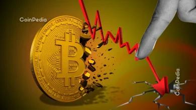 比特币价格预测：短期反弹在即，但可能略有变数