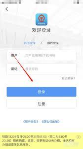 如何查询别人在12306给我买的票