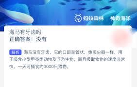 海马是否有牙齿