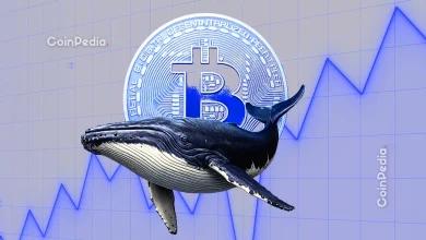 CryptoQuant首席执行官Ki Young Ju表示，老牌巨鲸正在拖累市场。