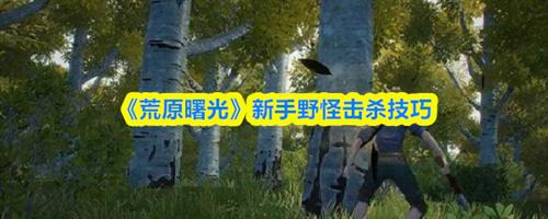 荒原曙光新手野怪怎么击杀 荒原曙光新手野怪击杀技巧