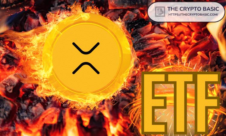 分析师预测一年内XRP ETF的数量可能达到多少