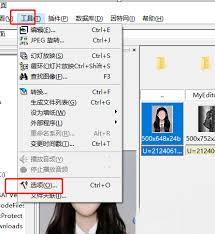 ACDSee如何显示网格线