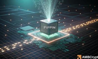 PIPPIN股价从本周低点反弹345%——现在应该买入吗
