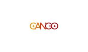 Cango Inc.发布2025年第三季度未经审计的财务业绩