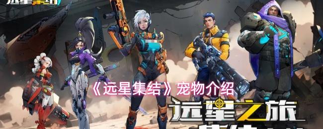 远星集结 宠物介绍