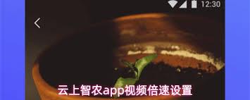 云上智农app如何下载视频