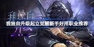 我独自升级起立觉醒新手选什么职业好用