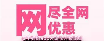 买手妈妈app如何升级成大班长