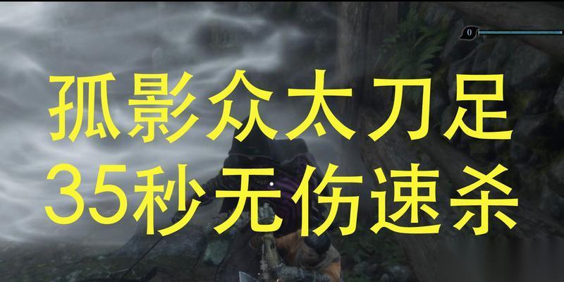 只狼太刀足打孤影众太刀足BOSS攻略 尽显忍者之道