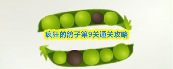 疯狂的鸽子第9关通关攻略