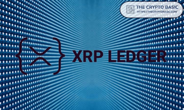 XRP 能够抵御价格波动和政治动荡：顶级验证者